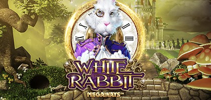 White Rabbit